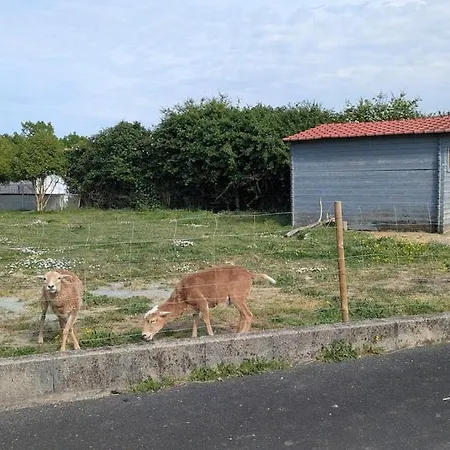 Escapade Champetre Cosy Moutons * Chauche